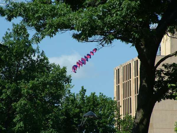 Image 1 from Madison Spiral