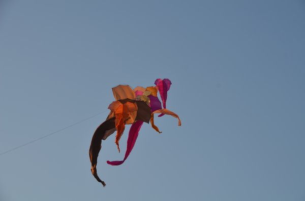 Image 5 from Windfire Designs In Doha Qatar Tribeca Film Fest 2011