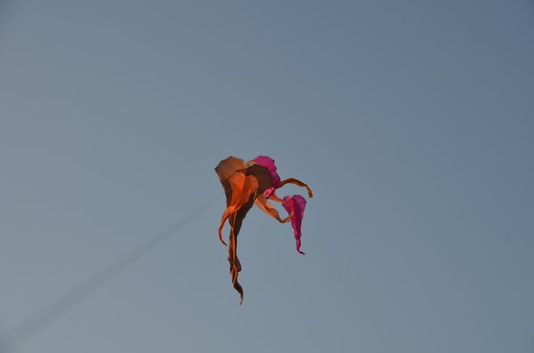 Image 6 from Windfire Designs In Doha Qatar Tribeca Film Fest 2011