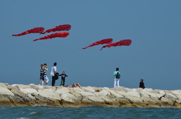 Venice Lido Flowx kite installation 2011 by WindFire Designs