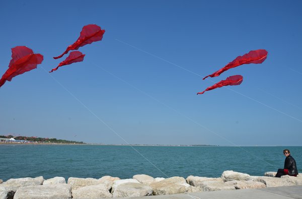 Image 2 from Windfire Designs Venice 2011 Flowx kites by Tim Elverston and Ruth Whiting