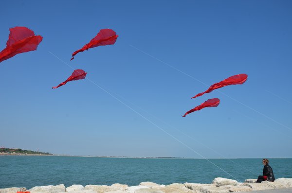Image 3 from Windfire Designs Venice 2011 Flowx kites by Tim Elverston and Ruth Whiting