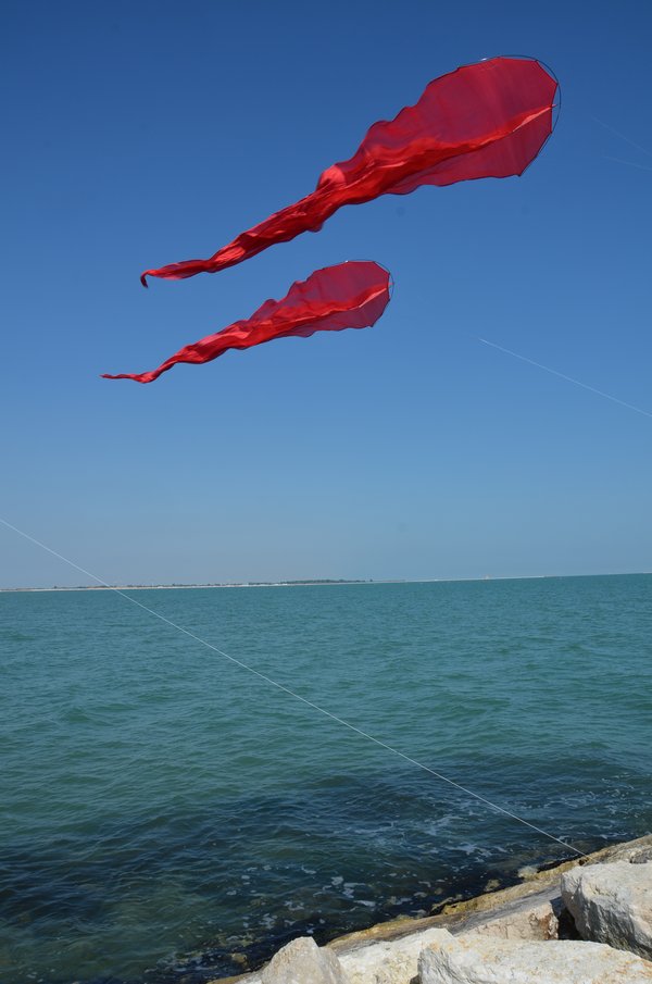 Image 4 from Windfire Designs Venice 2011 Flowx kites by Tim Elverston and Ruth Whiting