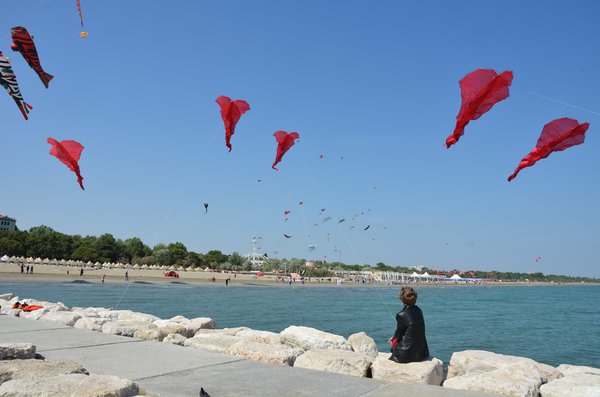Image 5 from Windfire Designs Venice 2011 Flowx kites by Tim Elverston and Ruth Whiting