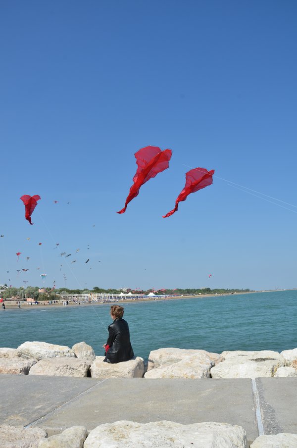 Image 6 from Windfire Designs Venice 2011 Flowx kites by Tim Elverston and Ruth Whiting