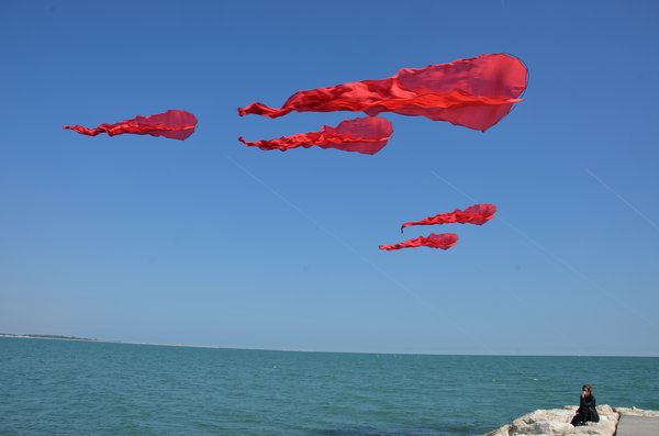 Image 7 from Windfire Designs Venice 2011 Flowx kites by Tim Elverston and Ruth Whiting