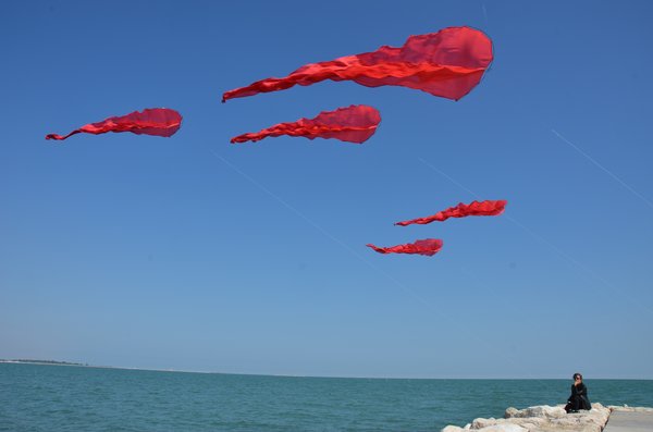 Image 8 from Windfire Designs Venice 2011 Flowx kites by Tim Elverston and Ruth Whiting