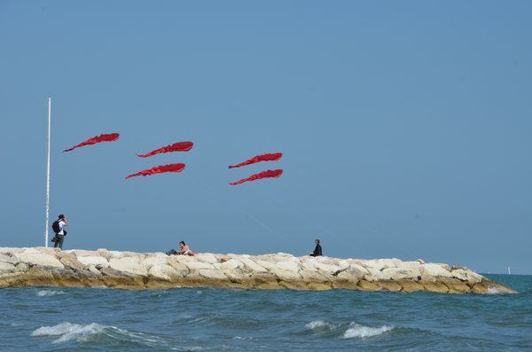 Image 9 from Windfire Designs Venice 2011 Flowx kites by Tim Elverston and Ruth Whiting