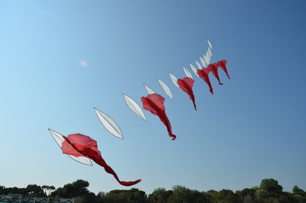 Image 13 from Windfire Designs Venice 2011 Flowx kites by Tim Elverston and Ruth Whiting