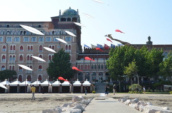 Image 14 from Windfire Designs Venice 2011 Flowx kites by Tim Elverston and Ruth Whiting