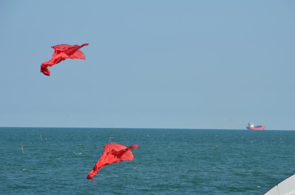 Image 15 from Windfire Designs Venice 2011 Flowx kites by Tim Elverston and Ruth Whiting