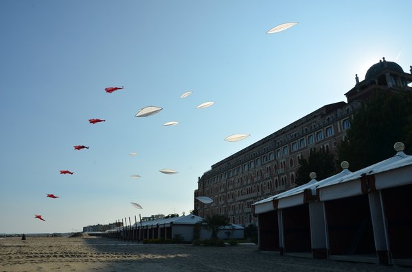 Image 24 from Windfire Designs Venice 2011 Flowx kites by Tim Elverston and Ruth Whiting