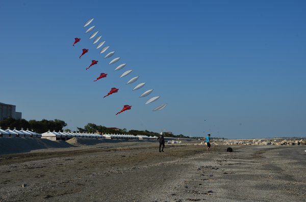 Image 27 from Windfire Designs Venice 2011 Flowx kites by Tim Elverston and Ruth Whiting