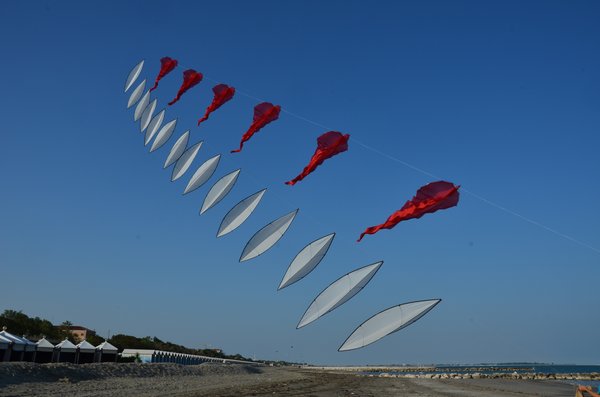 Image 28 from Windfire Designs Venice 2011 Flowx kites by Tim Elverston and Ruth Whiting
