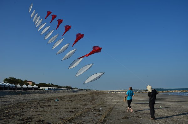 Image 29 from Windfire Designs Venice 2011 Flowx kites by Tim Elverston and Ruth Whiting