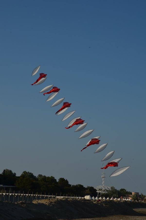 Image 30 from Windfire Designs Venice 2011 Flowx kites by Tim Elverston and Ruth Whiting