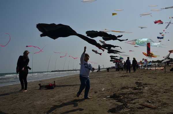 Image 31 from Windfire Designs Venice 2011 Flowx kites by Tim Elverston and Ruth Whiting