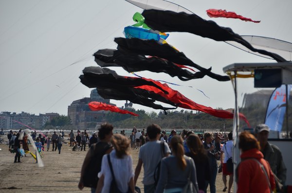 Image 32 from Windfire Designs Venice 2011 Flowx kites by Tim Elverston and Ruth Whiting