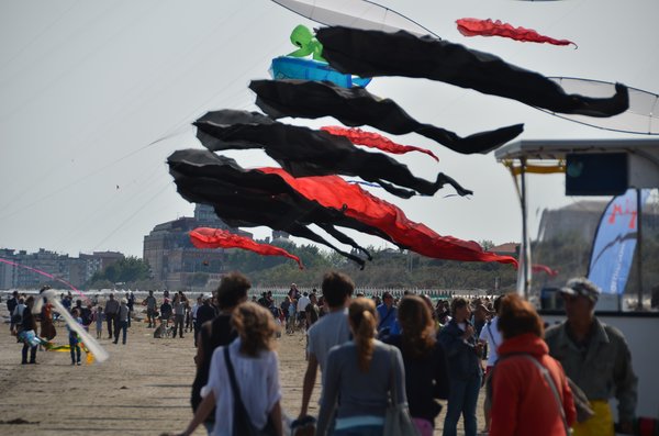 Image 33 from Windfire Designs Venice 2011 Flowx kites by Tim Elverston and Ruth Whiting