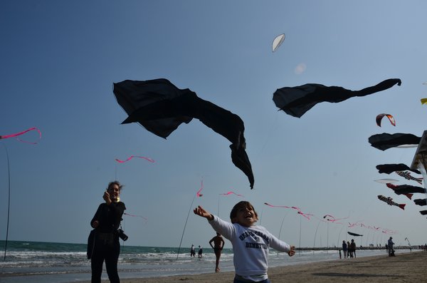 Image 34 from Windfire Designs Venice 2011 Flowx kites by Tim Elverston and Ruth Whiting