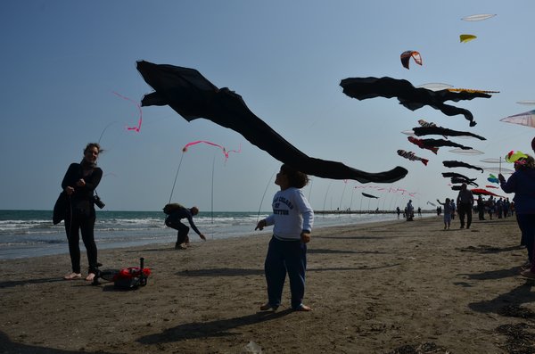 Image 36 from Windfire Designs Venice 2011 Flowx kites by Tim Elverston and Ruth Whiting