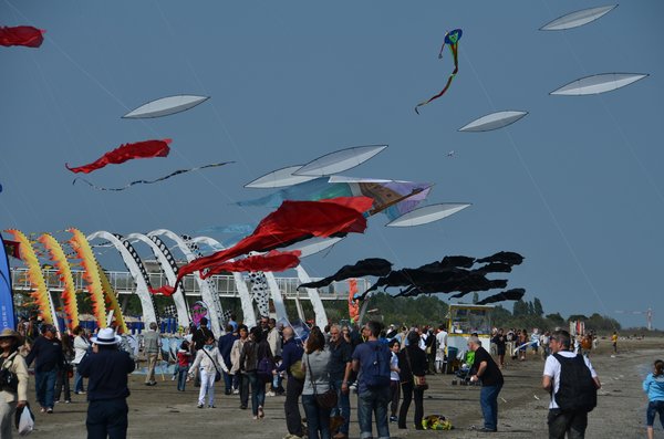 Image 40 from Windfire Designs Venice 2011 Flowx kites by Tim Elverston and Ruth Whiting
