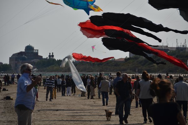 Image 42 from Windfire Designs Venice 2011 Flowx kites by Tim Elverston and Ruth Whiting