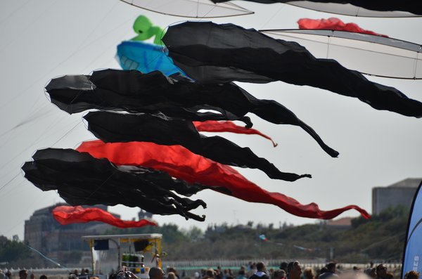 Image 43 from Windfire Designs Venice 2011 Flowx kites by Tim Elverston and Ruth Whiting