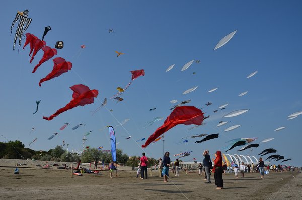 Image 46 from Windfire Designs Venice 2011 Flowx kites by Tim Elverston and Ruth Whiting