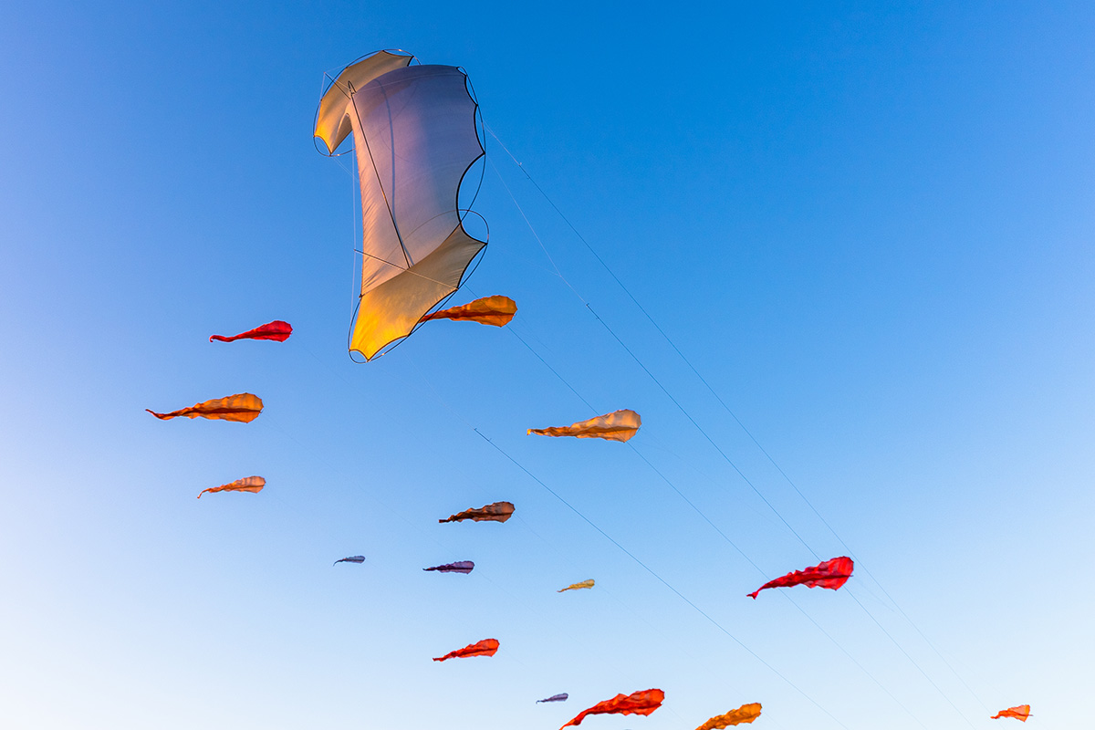 WindFire Kite Designs