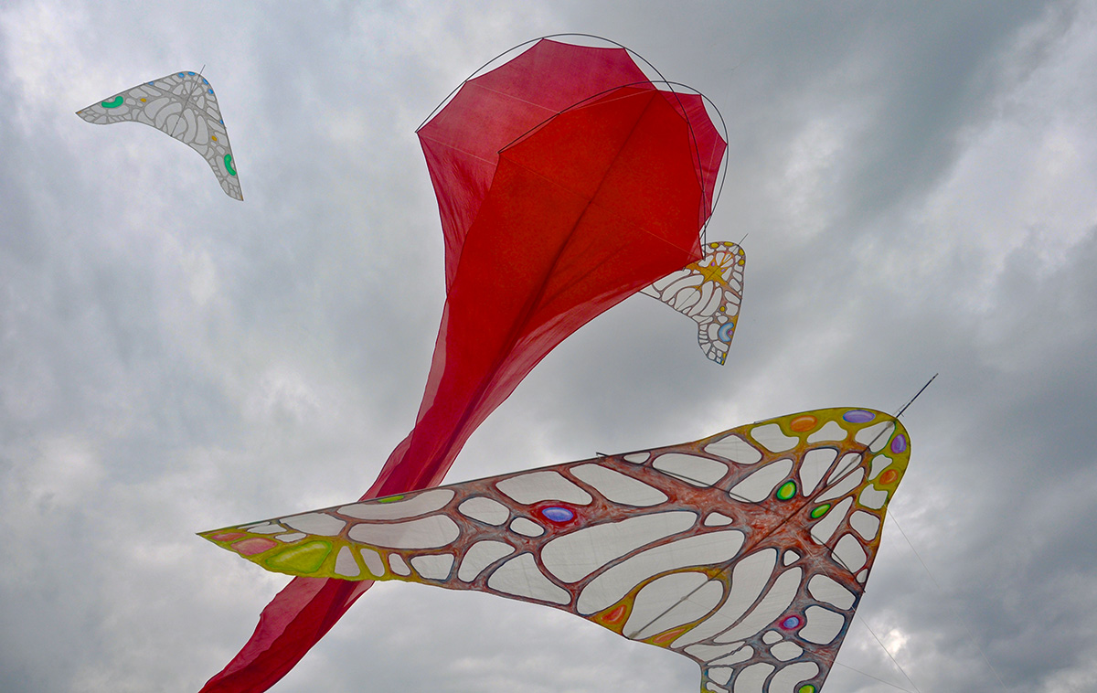 3 Colorwing Morphos FlowxL Red by WindFire Designs