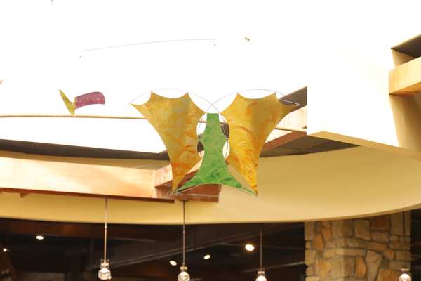 Image 14 from Flight Ideas Mobile - Minerals Resort in Vernon, New Jersey - by Tim Elverston and Ruth Whiting